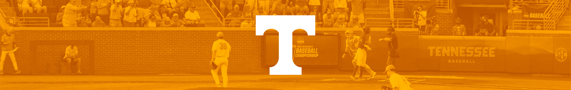 University of Tennessee Baseball Camps